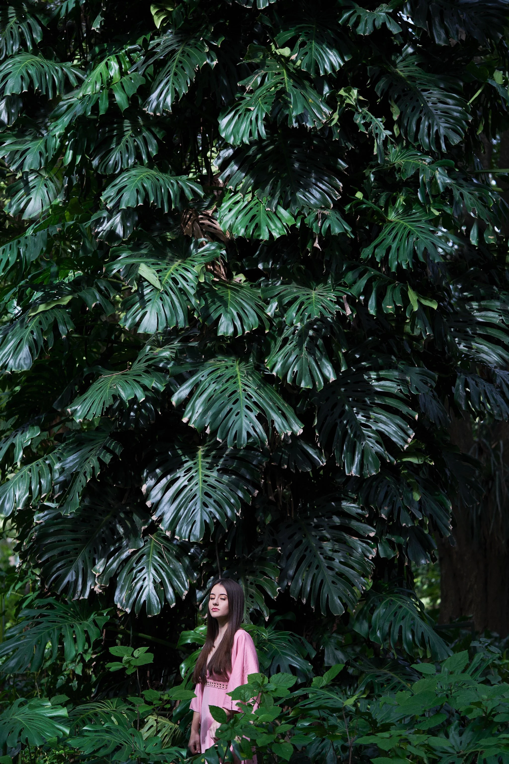 BOOK DE 15 AÑOS Book de fotos 15 Fotografo Argentina LME03672.jpeg