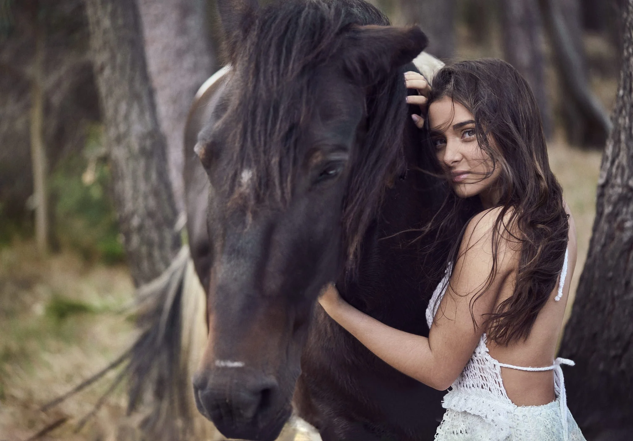Book Quinceañera con caballos