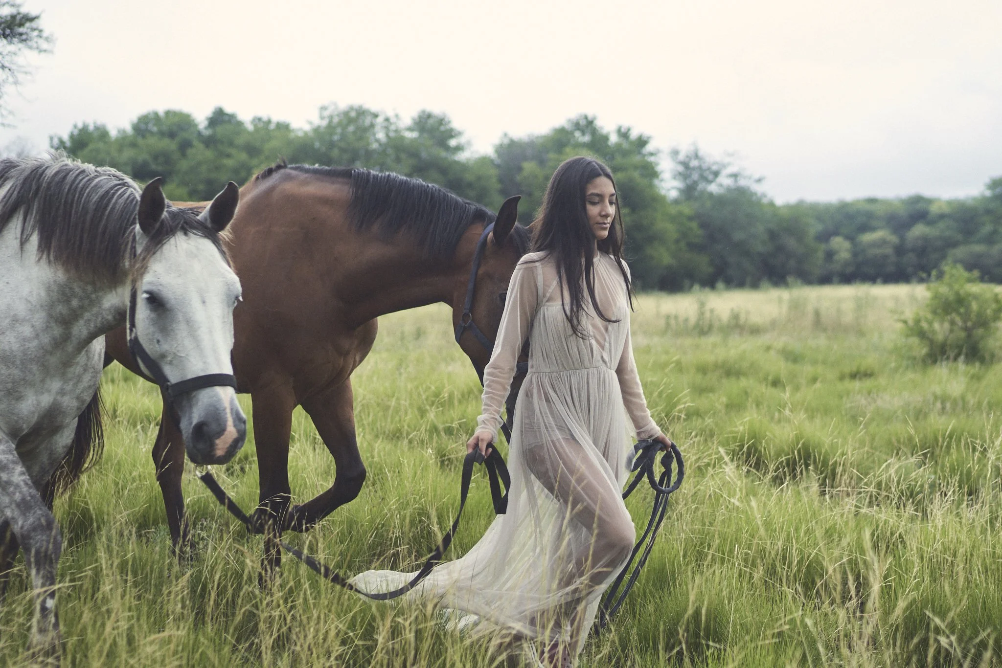 Sesión previa XV con caballos