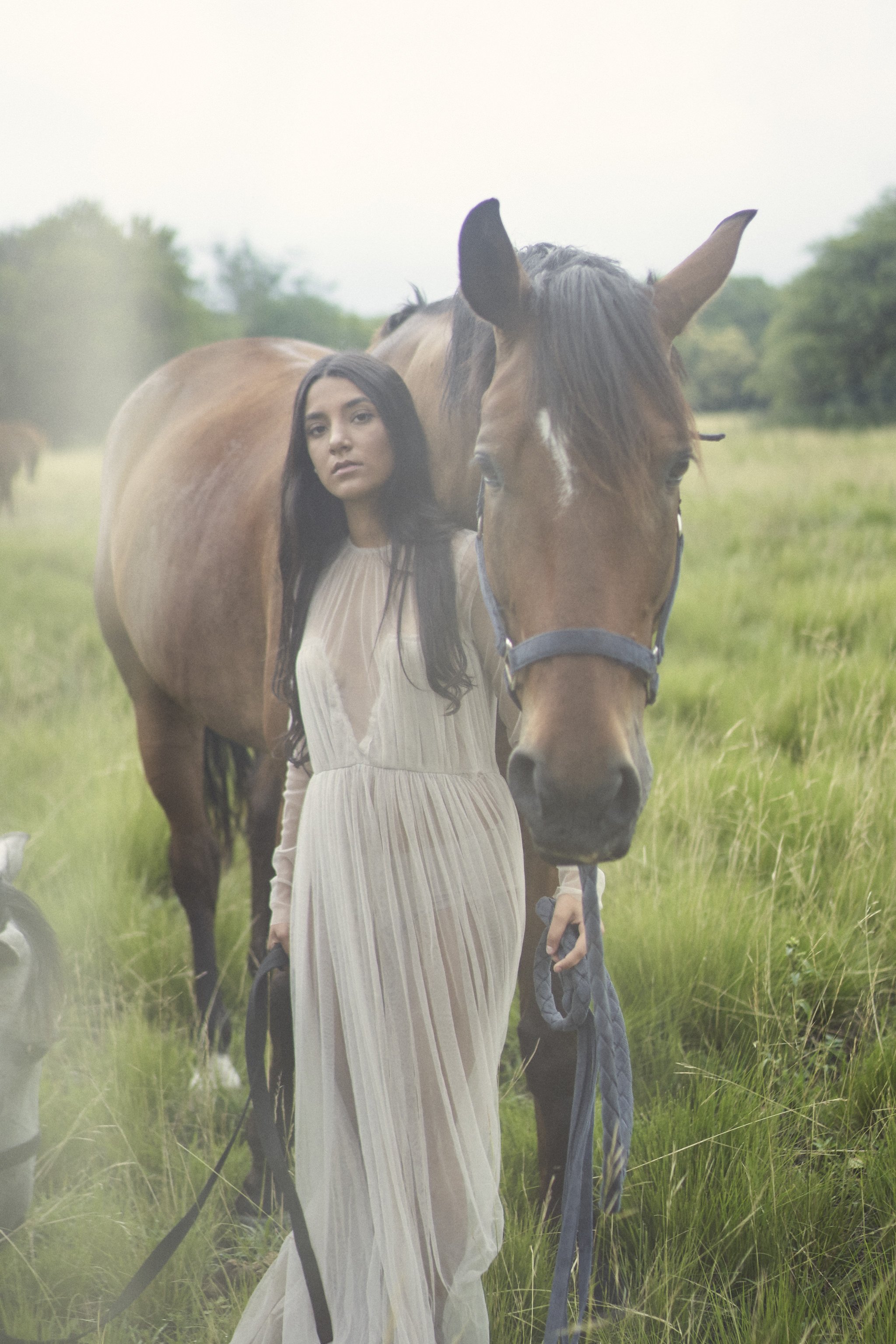 Sesión previa XV con caballos