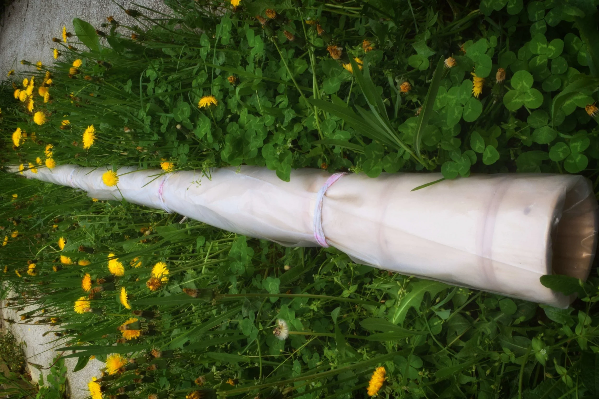 Tulnicul - Viitoruri ale unui Instrument Străvechi