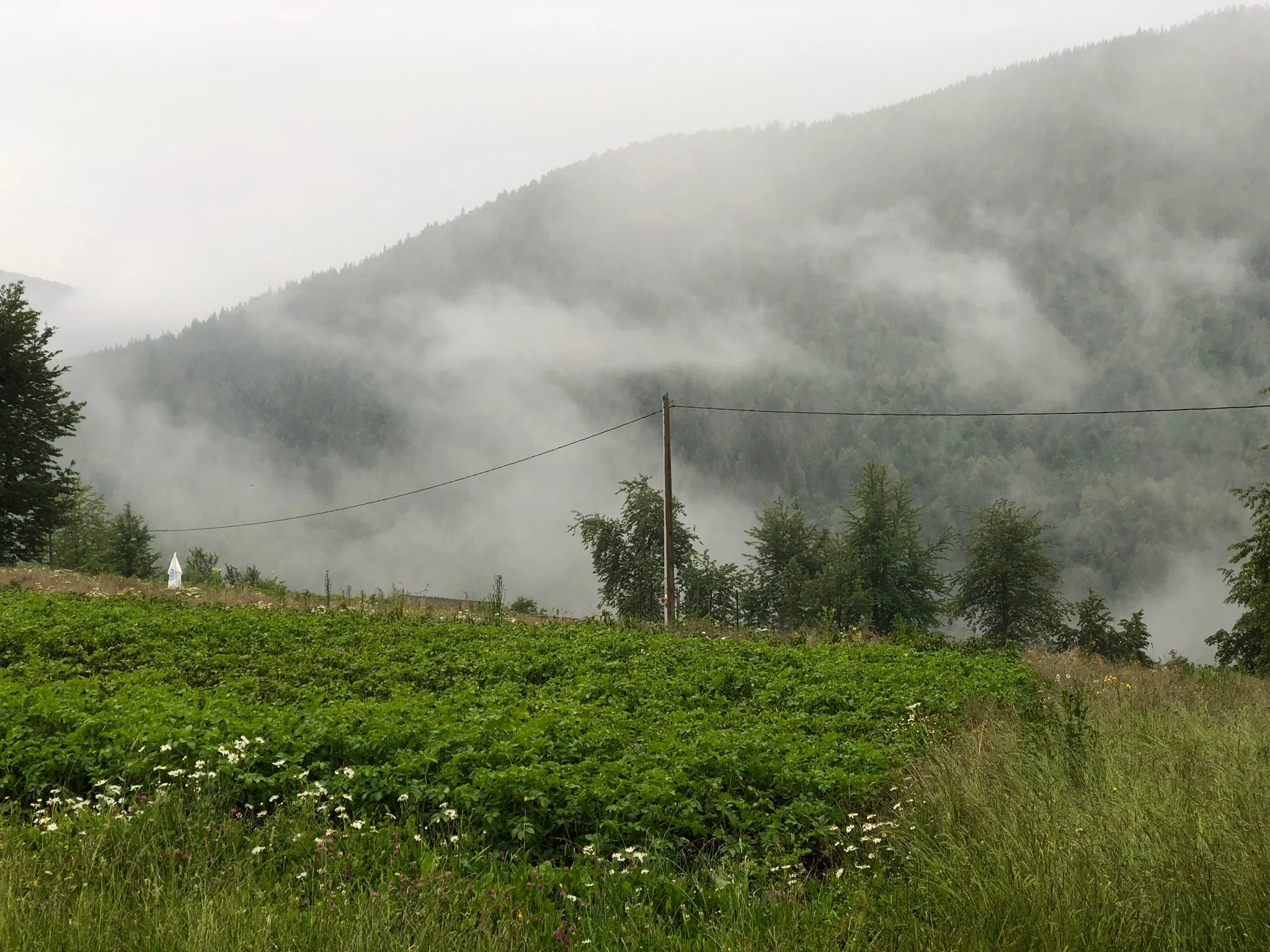 Pătrăhăițești