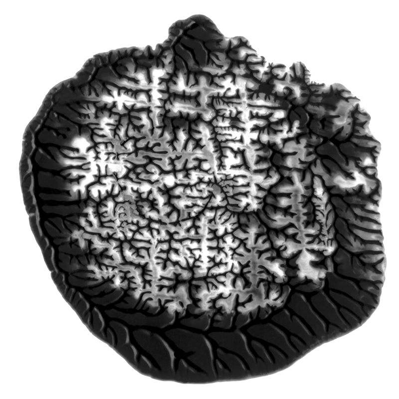 5. CIRCULAR 3.2