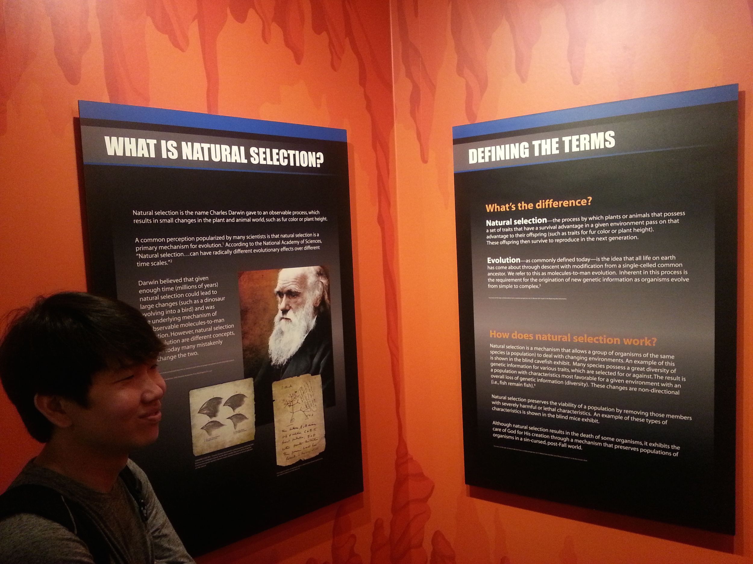 Ben's learning about the difference between evolution vs. natural selection. One of them is okay. The other is not.