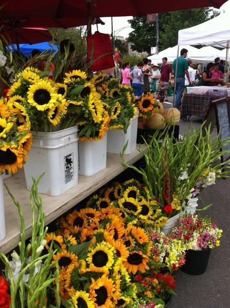 Logan Square Farmers Market