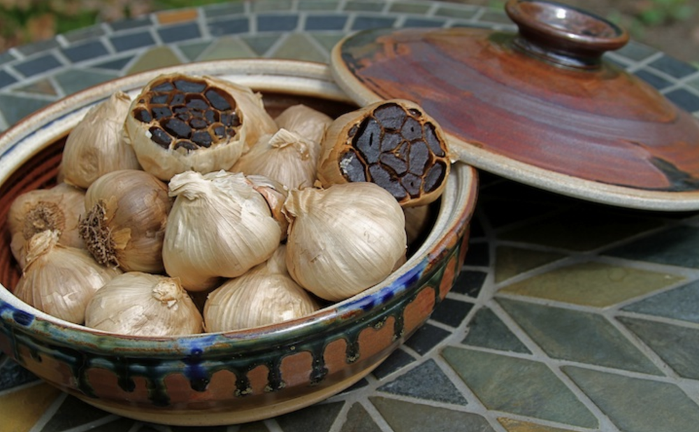 Black Garlic North America Frequently Asked Questions About Black Garlic