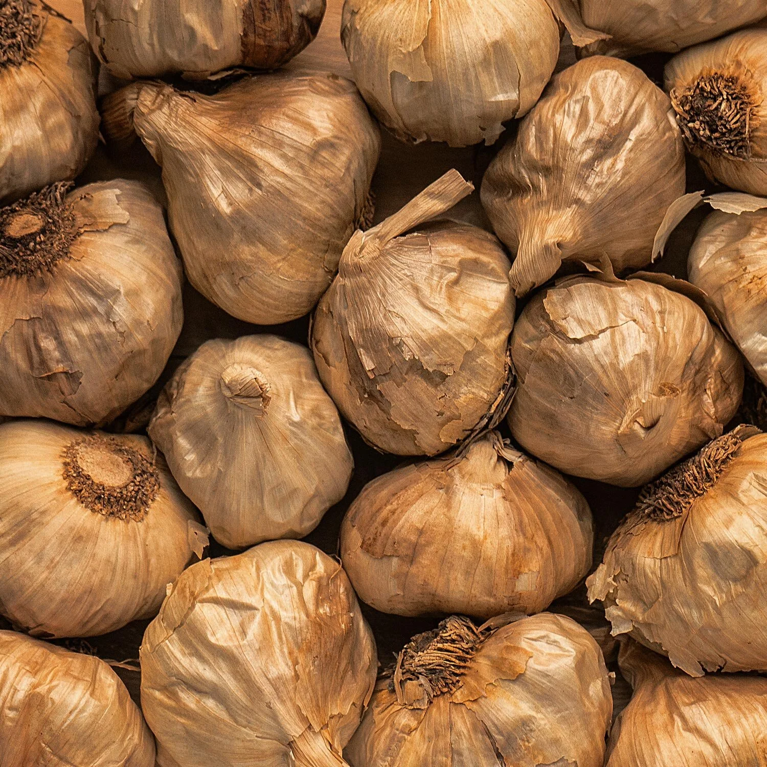 Whole-Bulbs_w.jpg