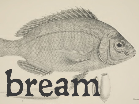 bream.jpg