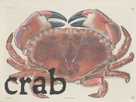 crab.jpg