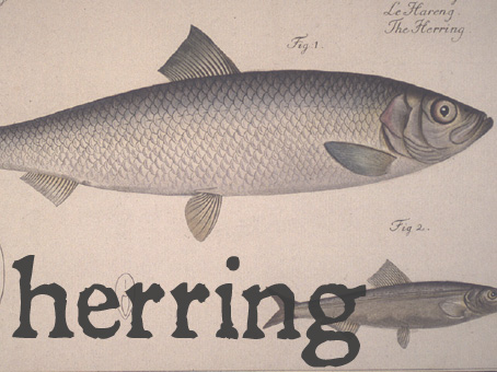 herring.jpg