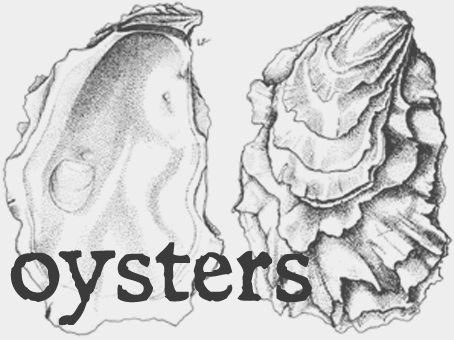 oysters.jpg