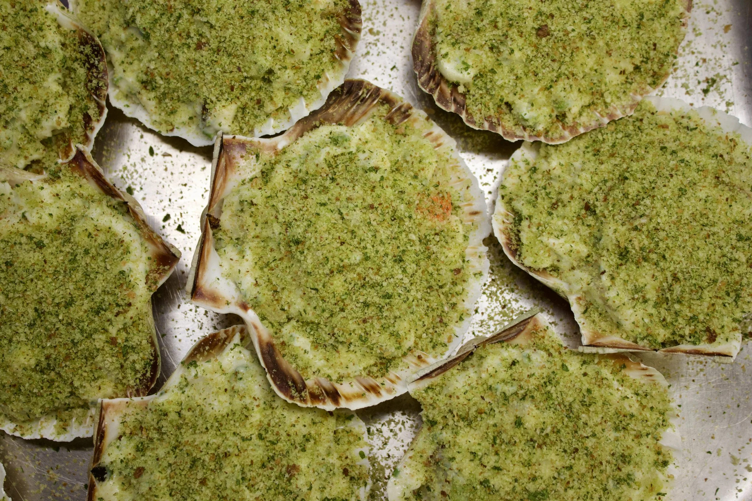 soleshare coquille saint jacques