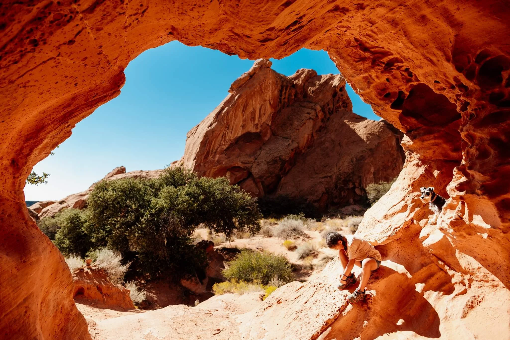 Person sitting on red rock formation with a dog nearby, surrounded by desert landscape and scrubby vegetation, under clear blue sky.
