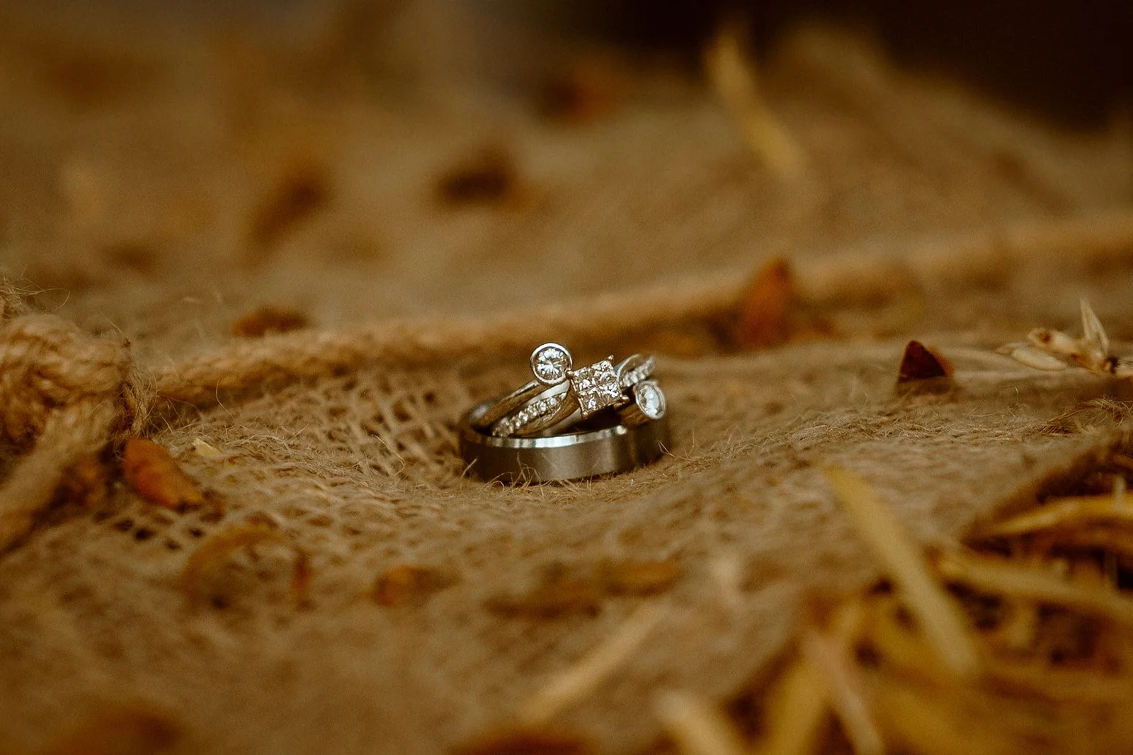 Wedding and engagement rings on burlap with dried leaves.