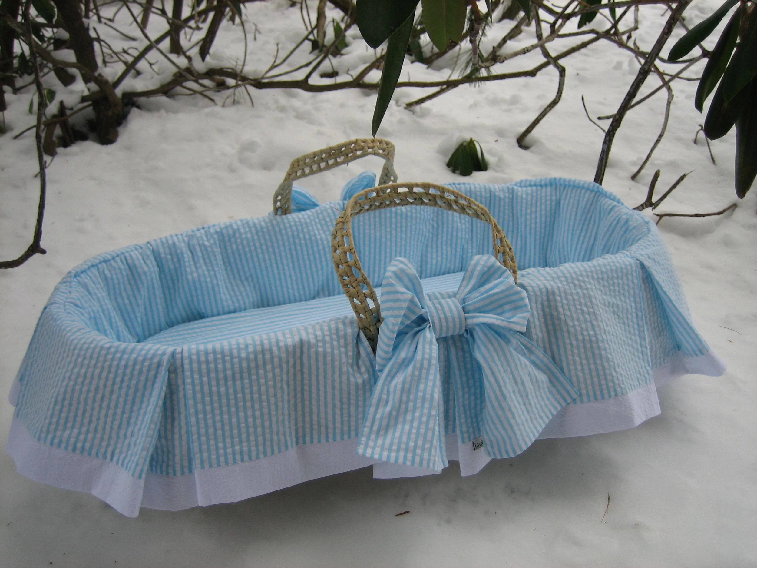 Cape Cod Moses Basket.jpg