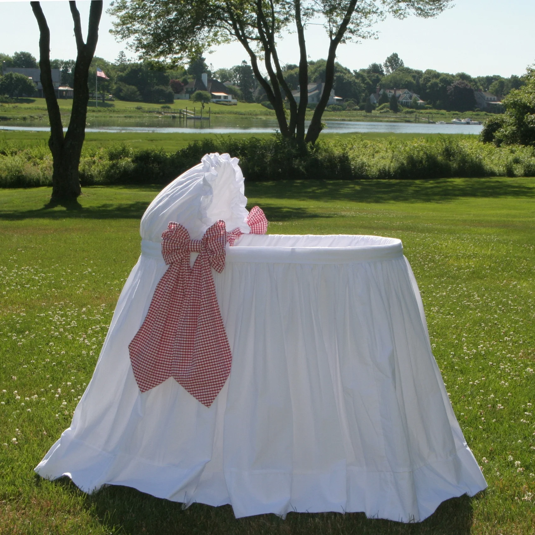 Chatham Bassinet - in field.jpg