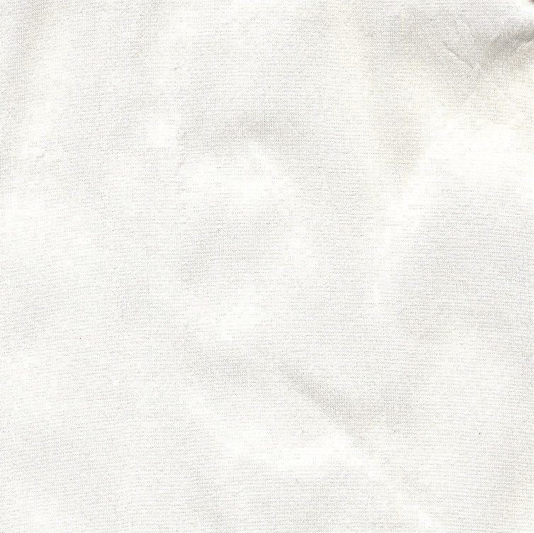 DS Ivory.jpg