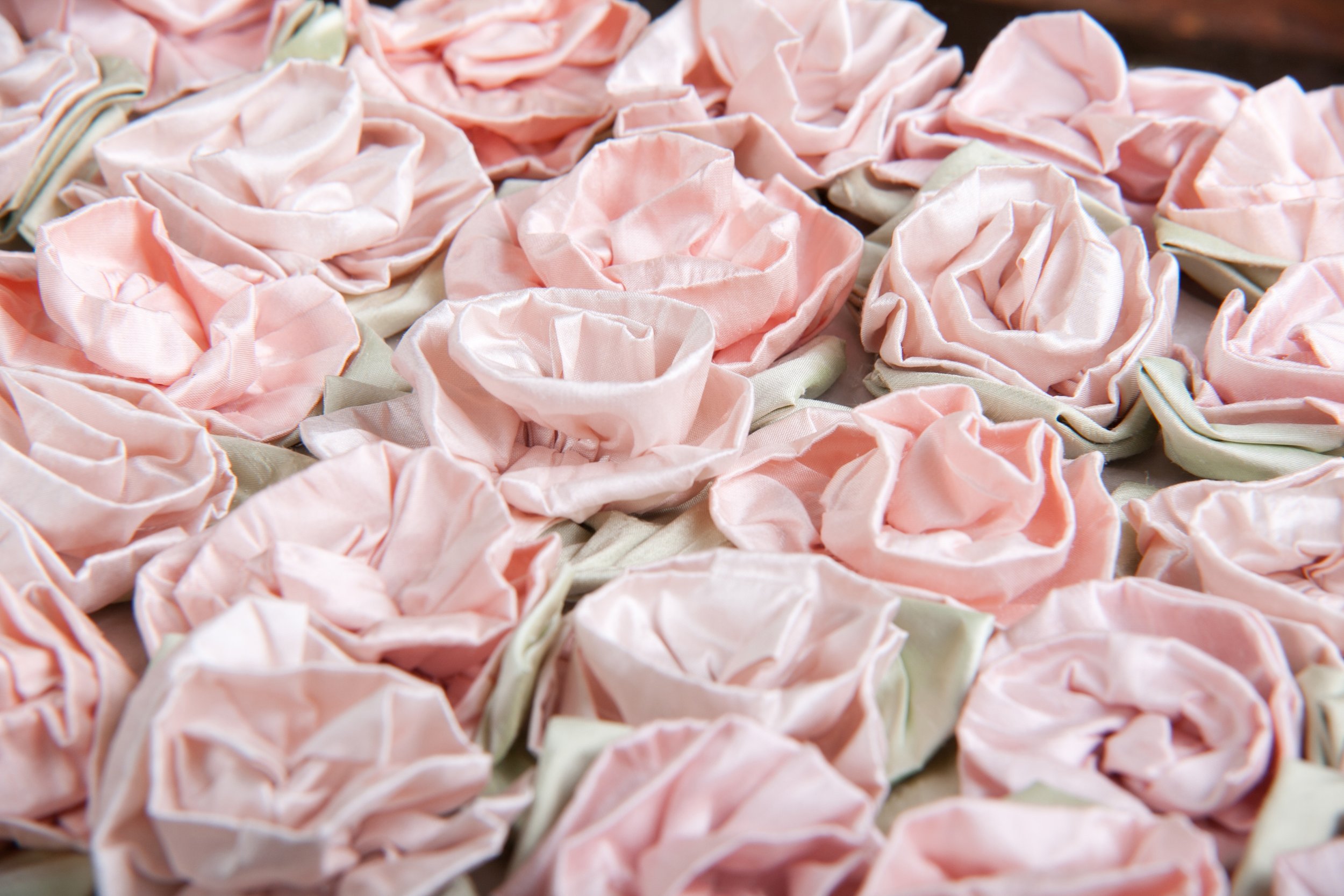 Roses.JPG