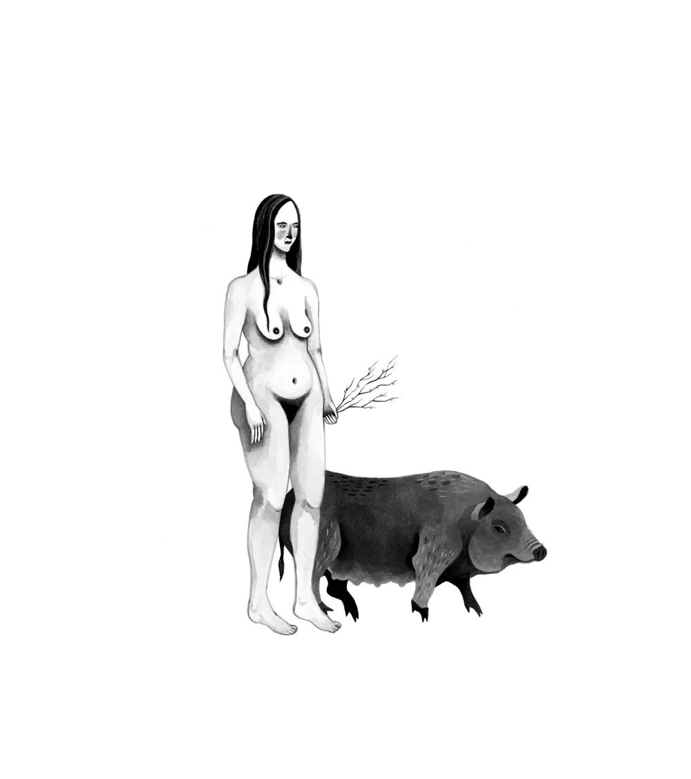 Sow graphite, ink & gouache on paper 9.75" x 11" 
