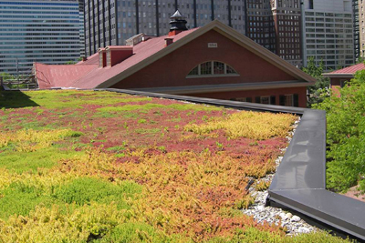 Friends Center-vegetated roof.jpg