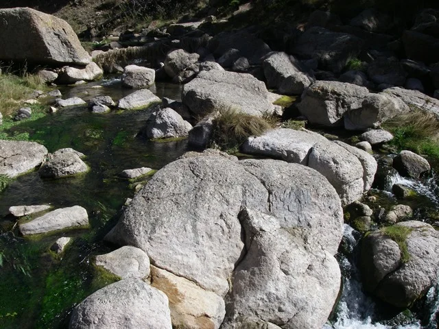 IMGP1013.jpg