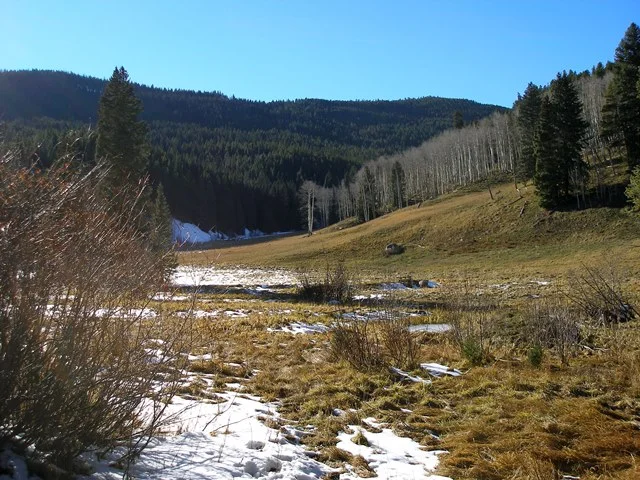 PA250030.jpg