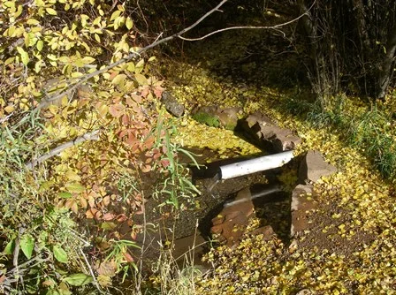On the way to camp I always stop by this spring. It's the sweetest water there is.