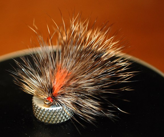 DSC_0203.jpg