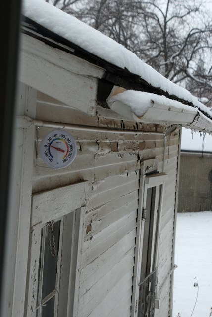 DSC_0004_01.jpg