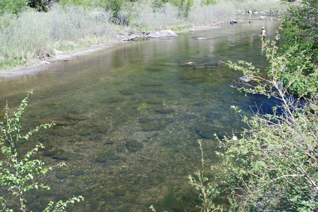  SPOT THE TROUT I I SEE ZOOMED INSET BELOW