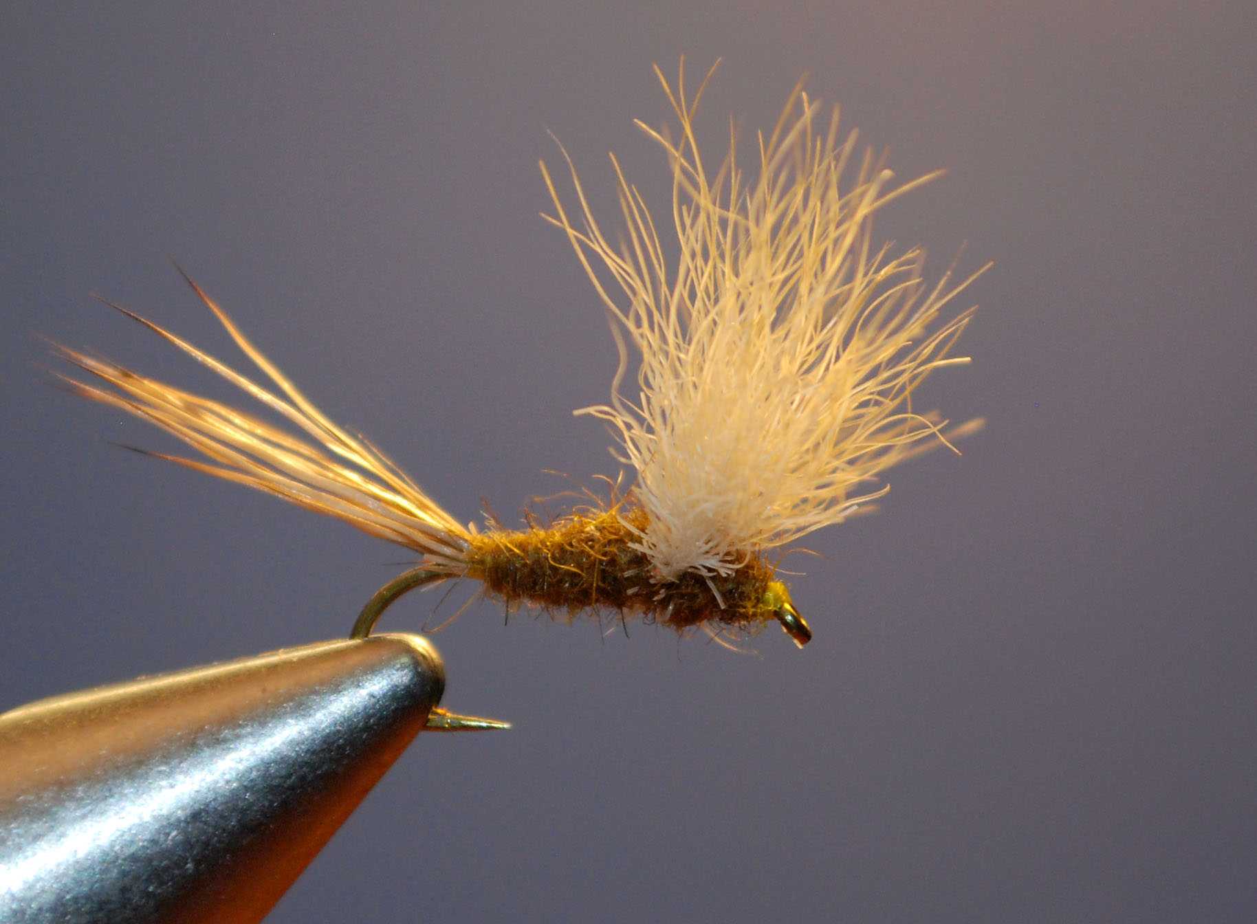 Fran Better's classic fly pattern, "The Usual", modified for possible use on Colorado's high country streams later this season. 