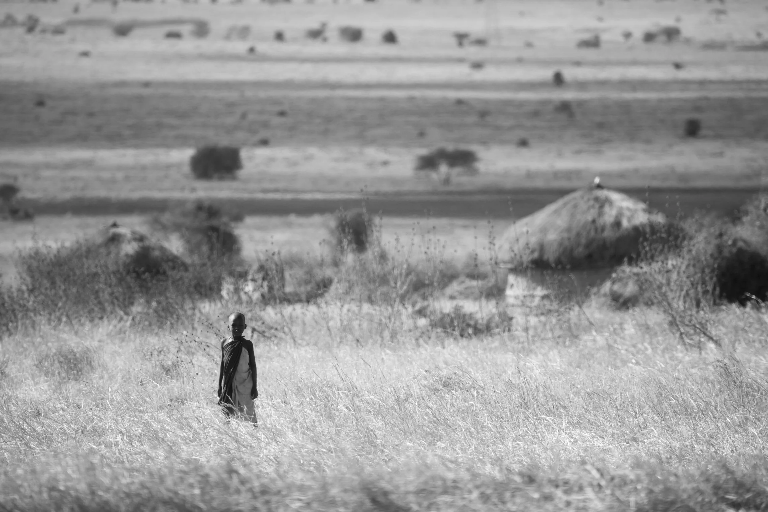 _MG_1513.jpg