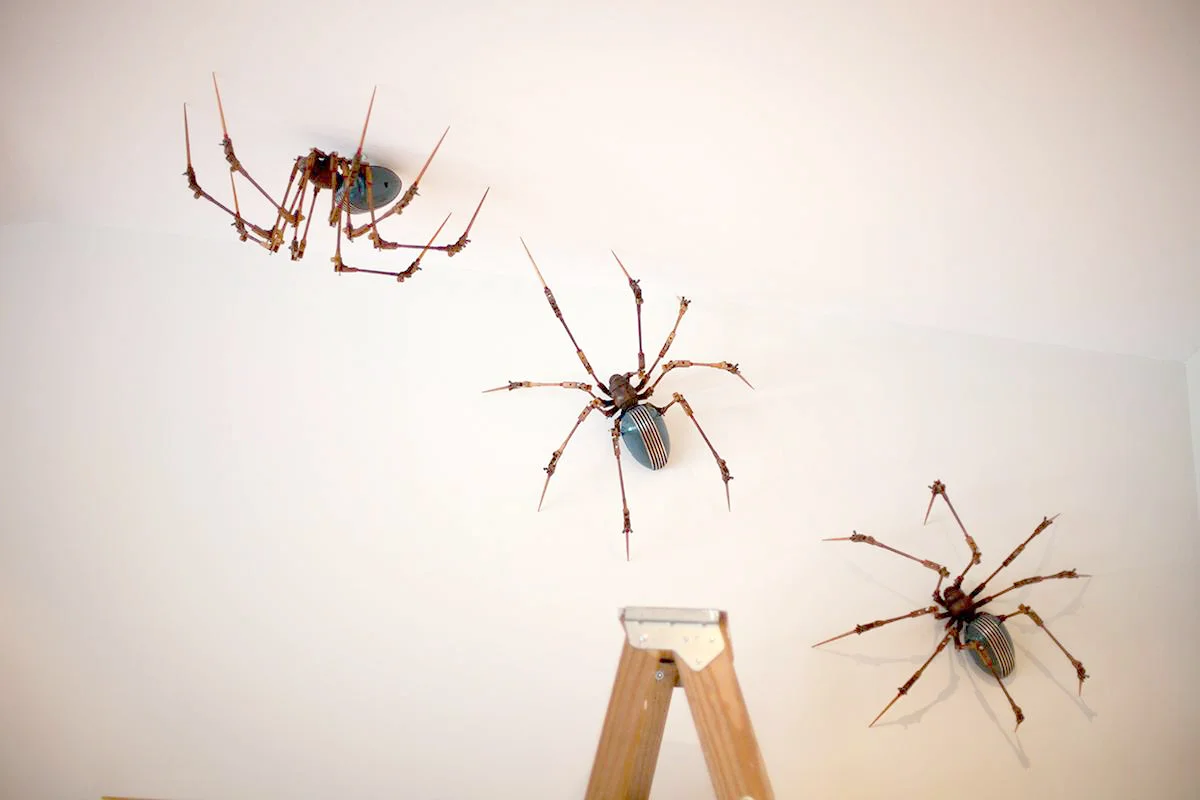 climbingspider-rivamonte.jpg