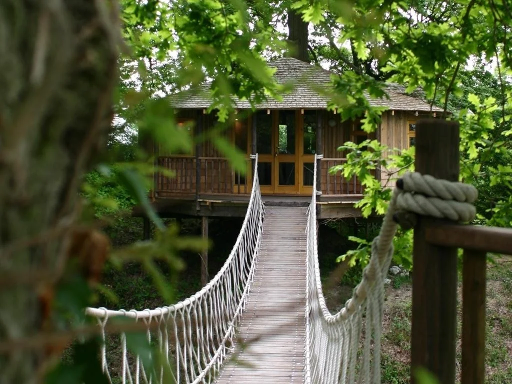 amazing-tree-house-designs-6.jpg