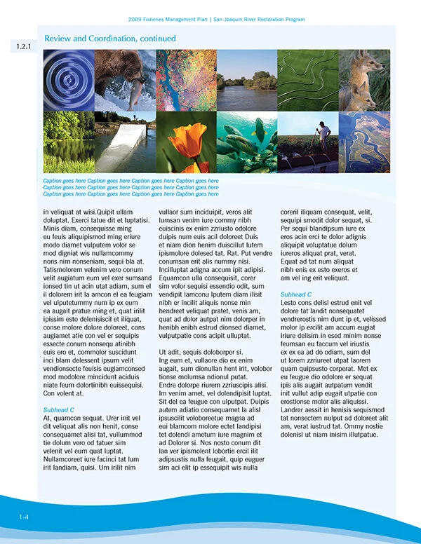 Layout template_InDesign_Left Page.jpg