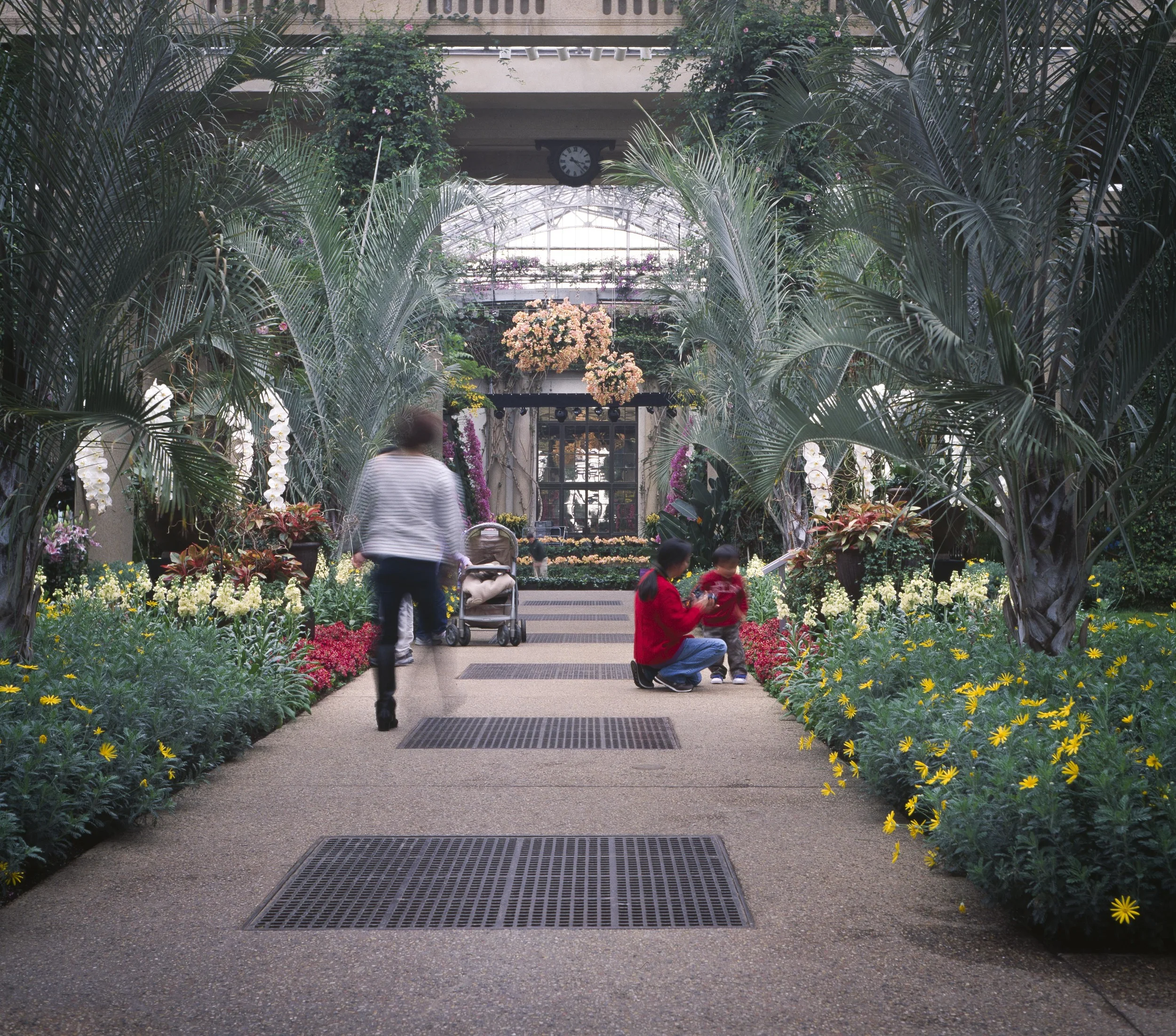 Conservatory, 1