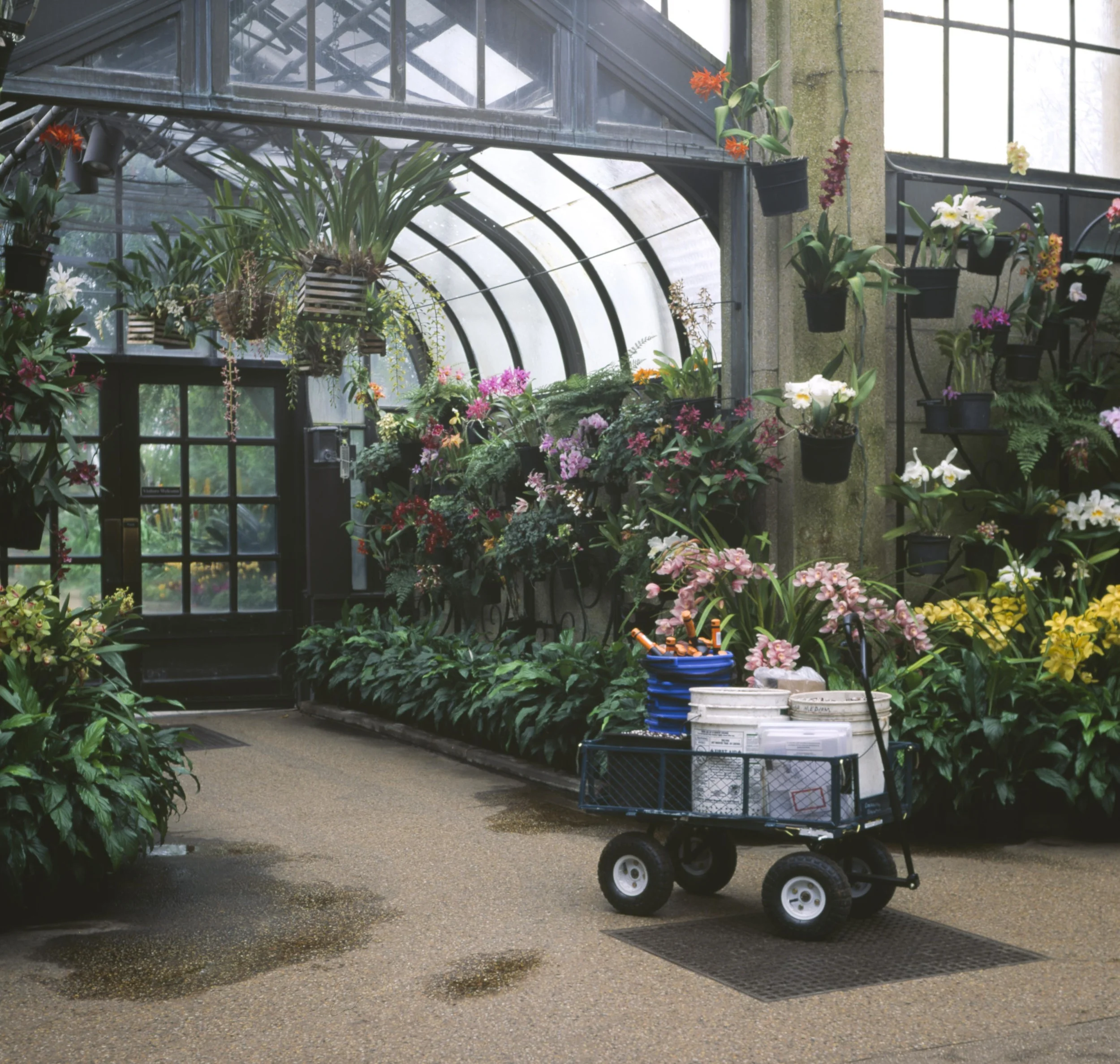 conservatory5.jpg