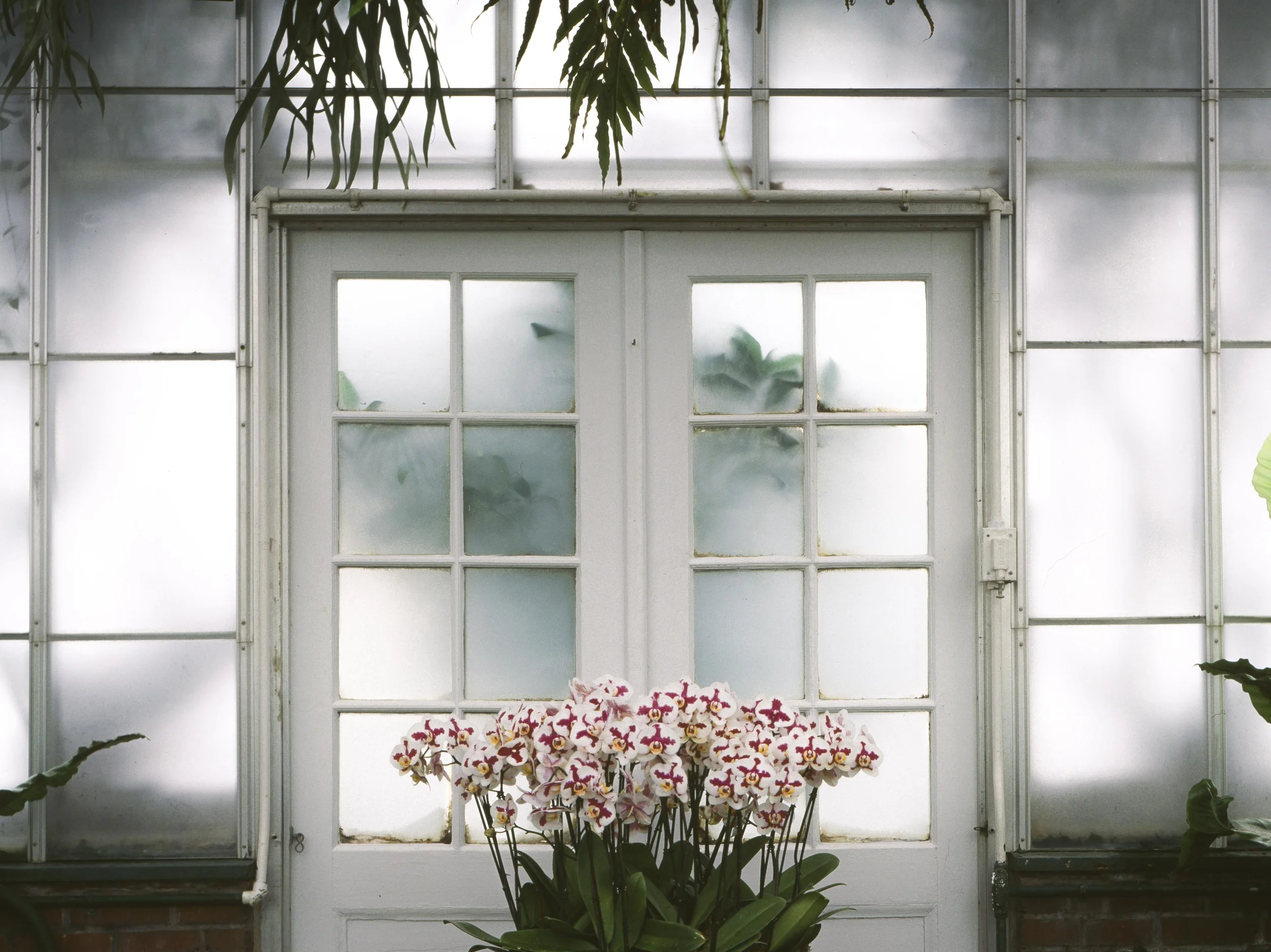 conservatory6.jpg