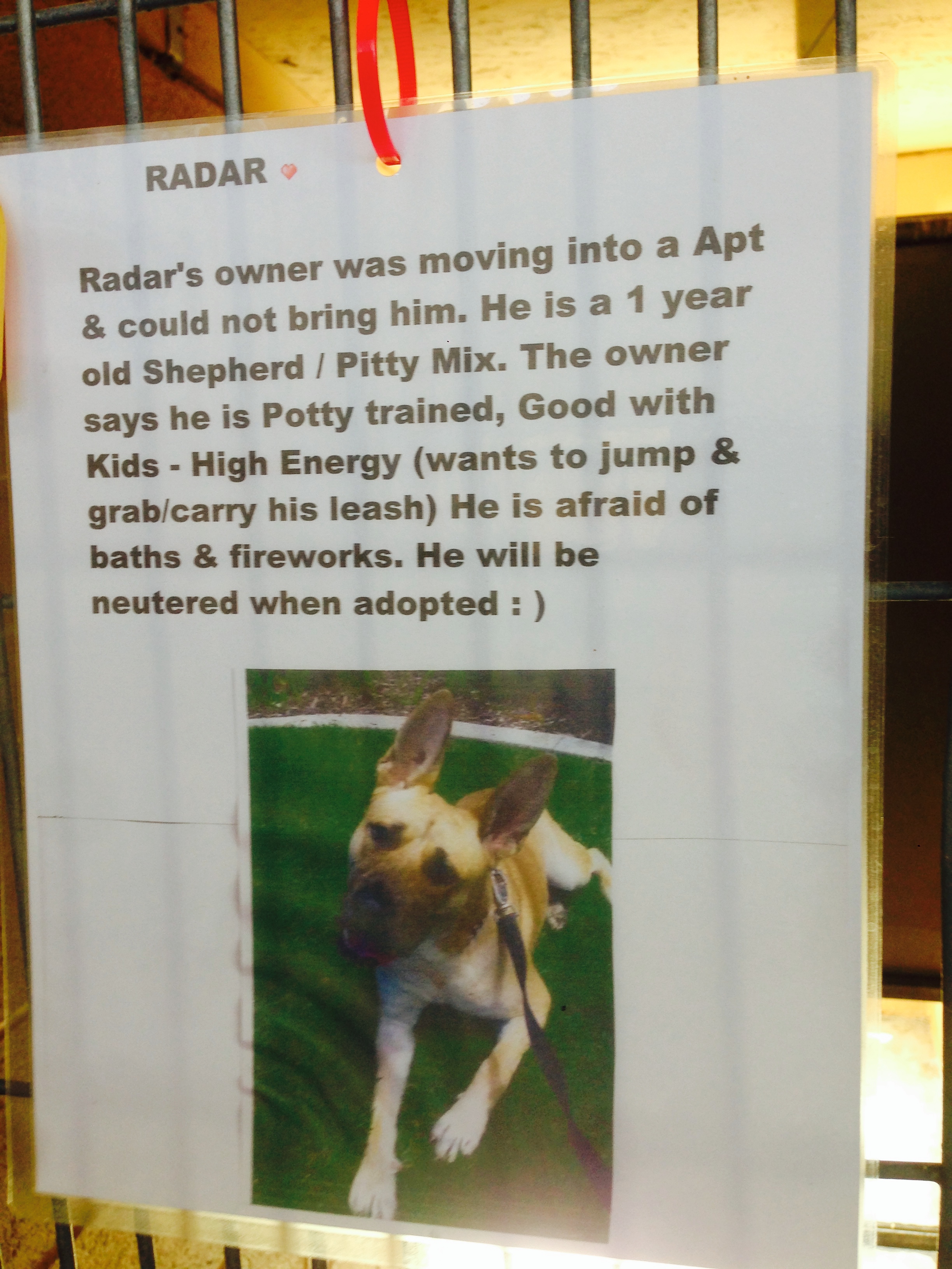 Radar