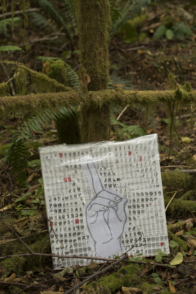 #15, "Thee." Skunk Cabbage Trail, Prairie Creek State Park. 