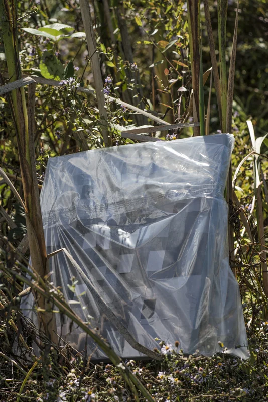 #32, "Grace." Hauser Marsh, Arcata Marsh.