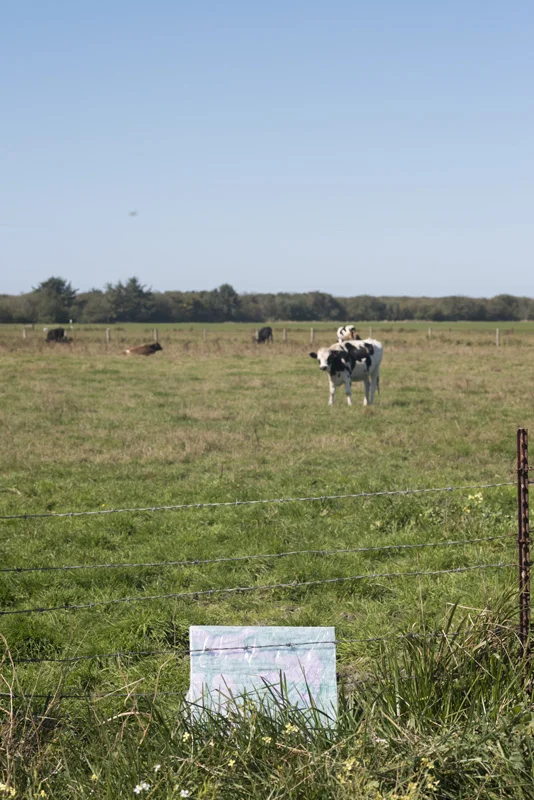 #24, "Me." Cow field adjacent to Mad River Footbridge.