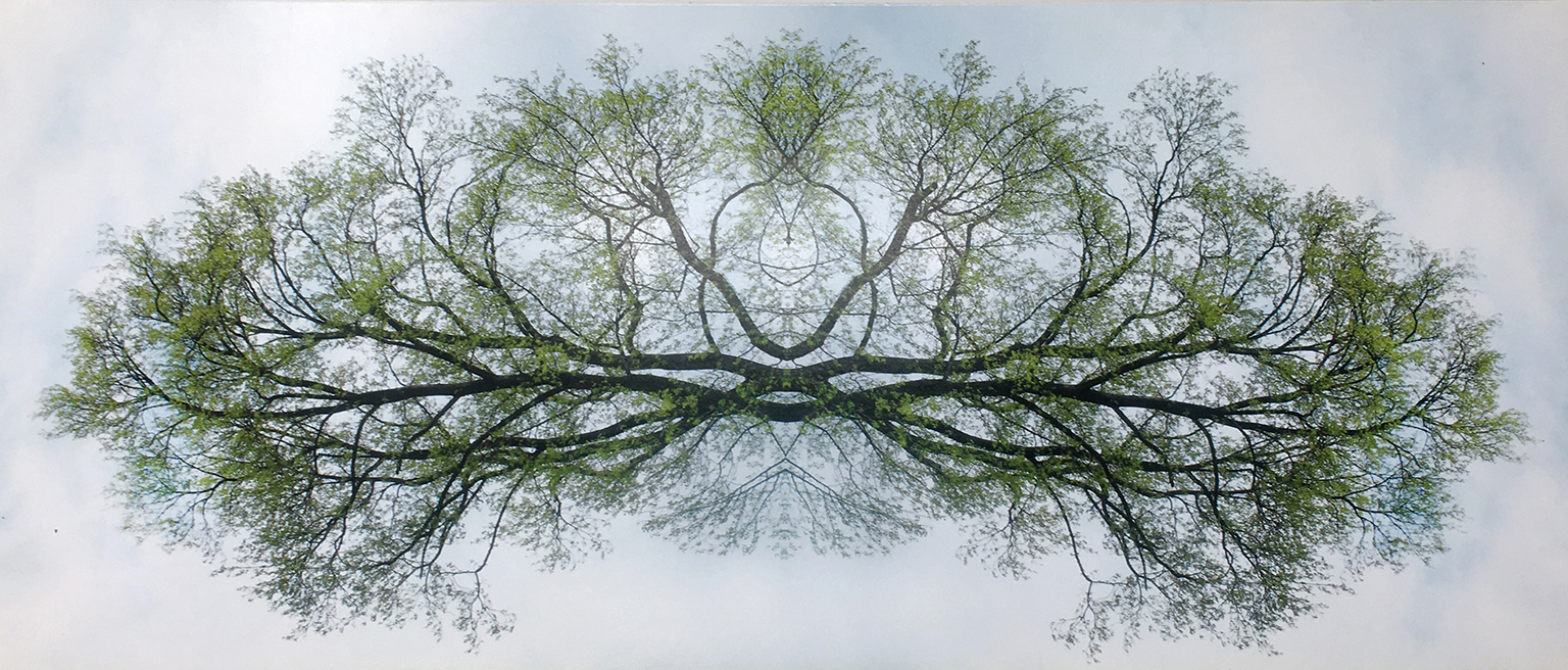 Yogi Tree (Copy)