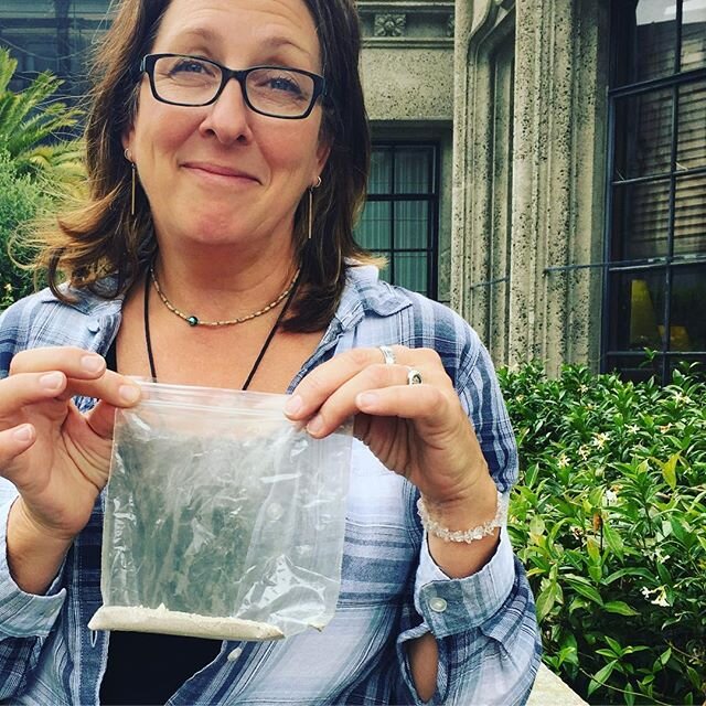 Yes, these are Chicken's ashes, at long last scattered in #GraceCathedral's rose bushes and labyrinth. Kind of a morbid way to say &quot;happy national cat day&quot; but it marks the end of a long journey with a beloved pet and the book about her. 😽