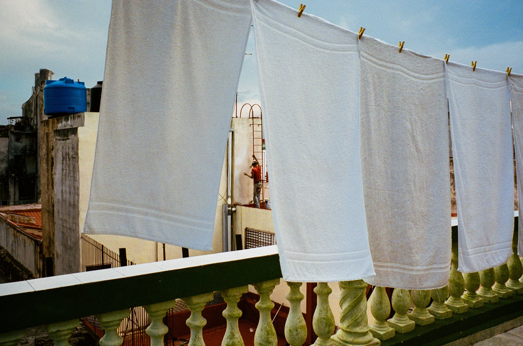 53220036.jpg