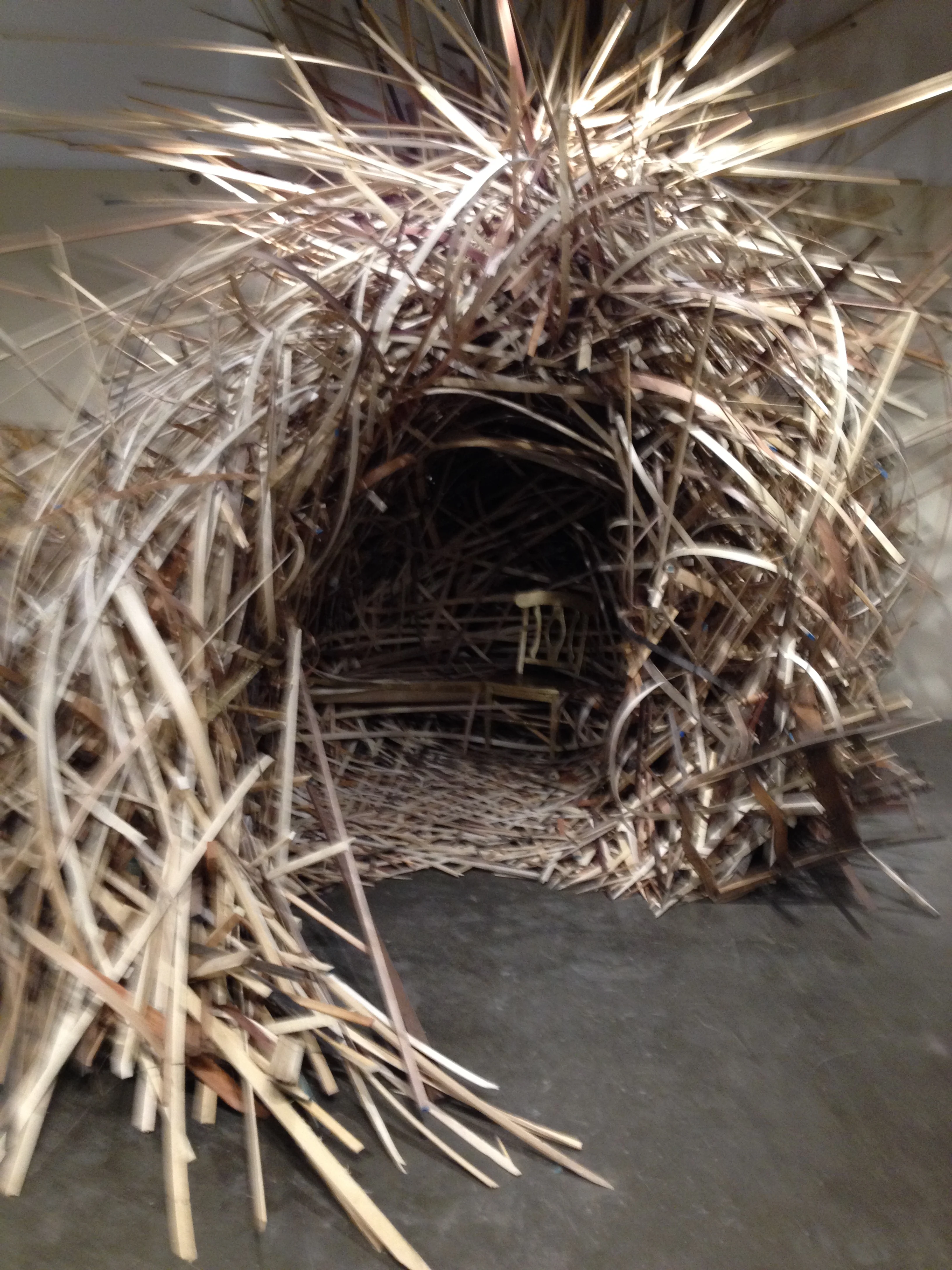 An arty view of the insane gnarly NEST made of wood molding trimmings I got from a cabinet shop..with the gold leafed chair captured inside ...Gardeners 'lexi B, and Benva went insane on this structure. Beth M., Holden C., Tim W. and probably others helped out on this raw creative wonderment. How we are going to dismantle it and get out of the Museum I have no idea!!!!!!! ( Termites?)