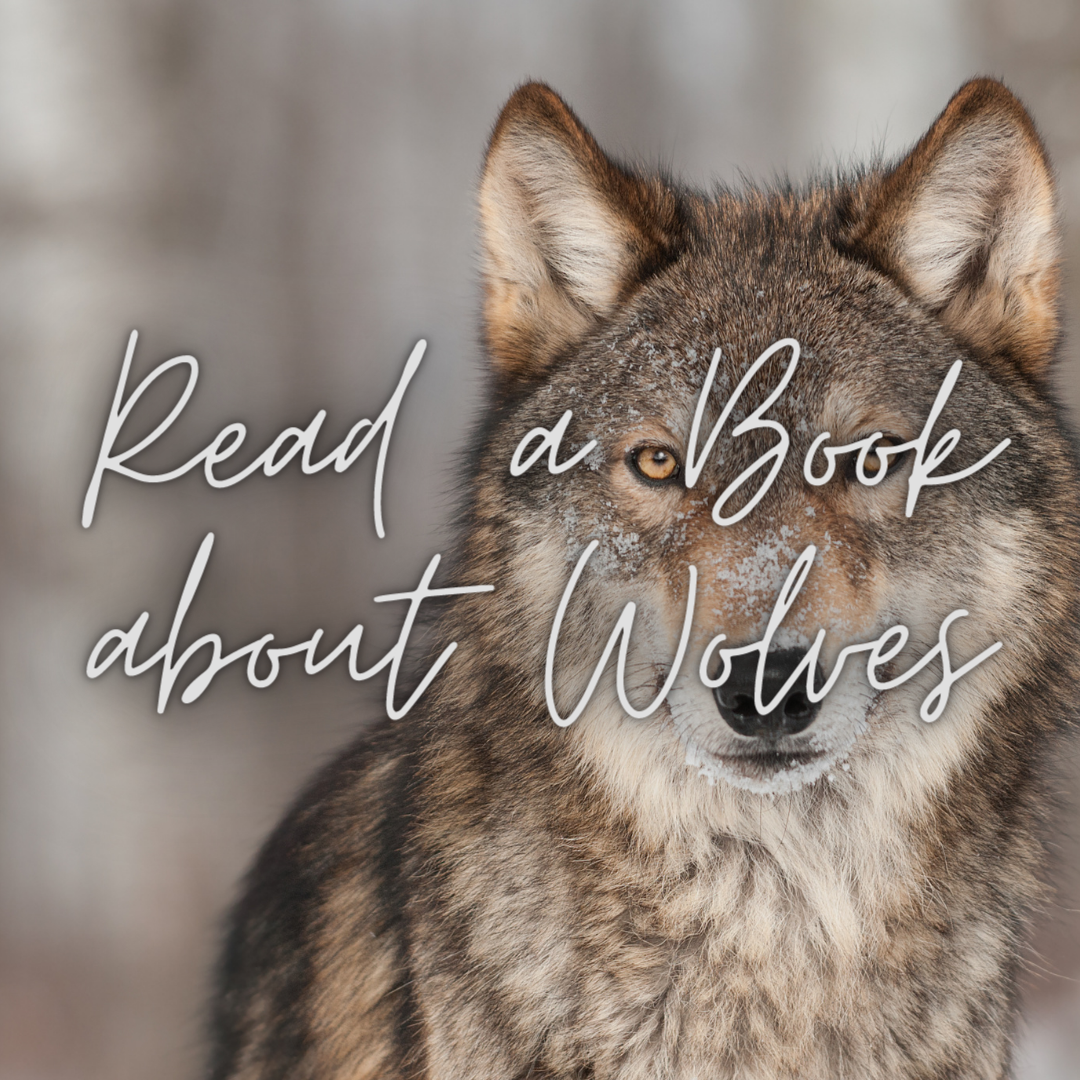 Read a Book about Wolves.png