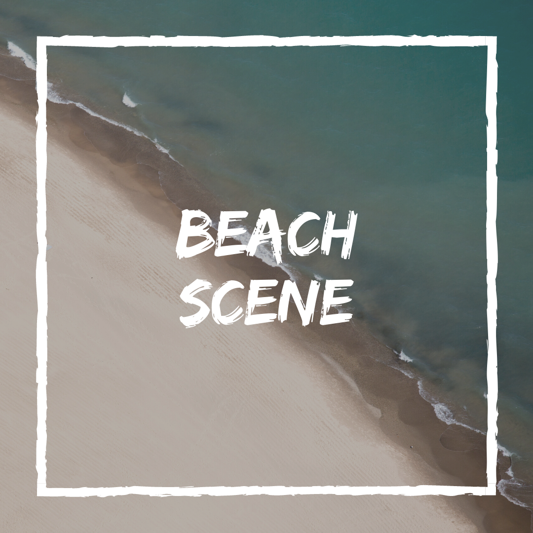 beachscene.png
