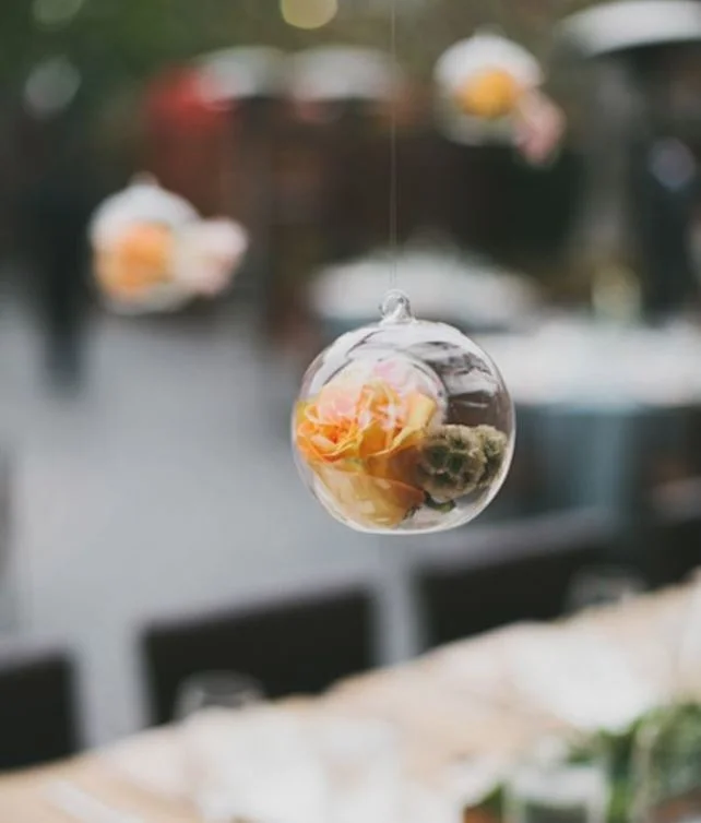 Hanging-globes.jpg