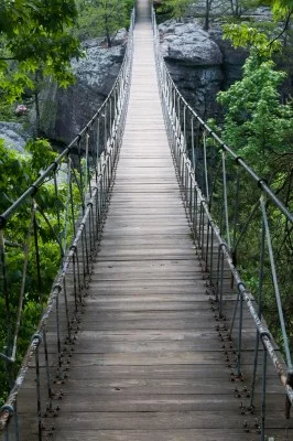 shaky-bridge-experiment-dutton-aron.jpg